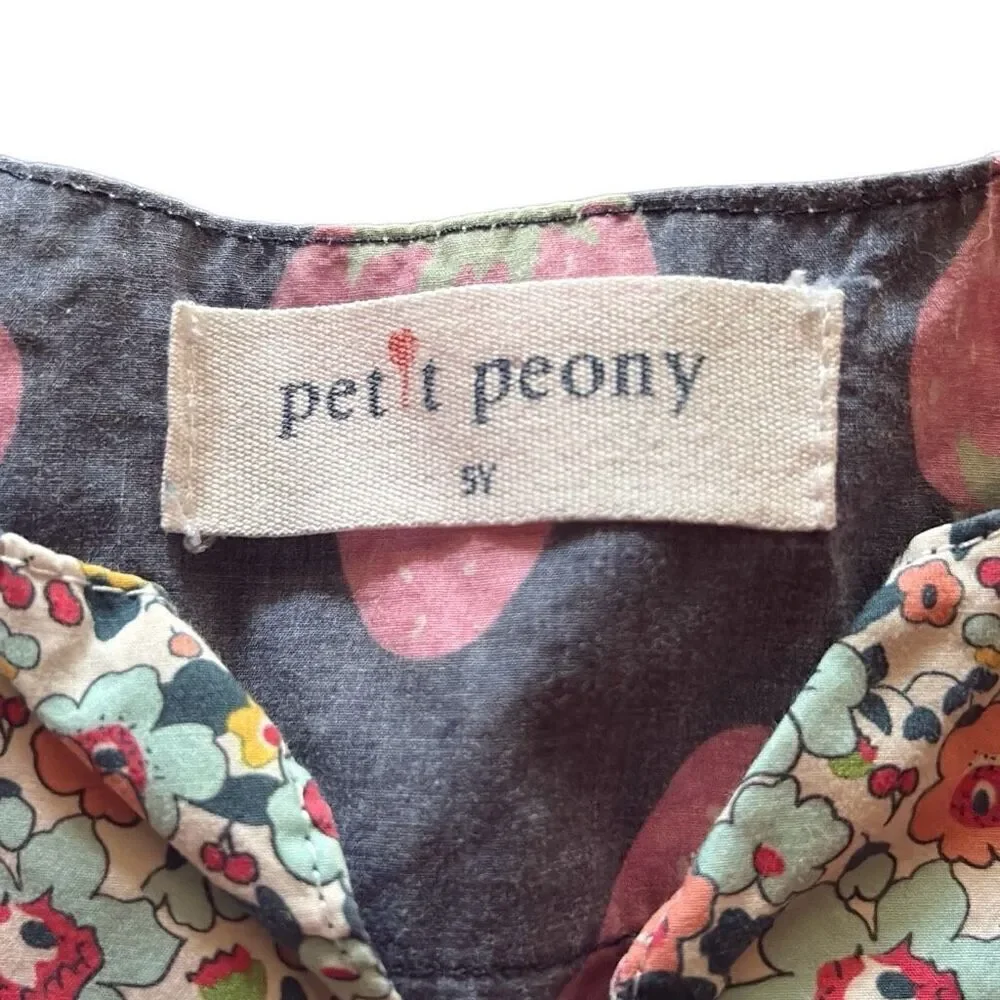 Petit Peony Strawberry Print B.T. Kids Seersucker Embroidered Tier Dress Girls 5